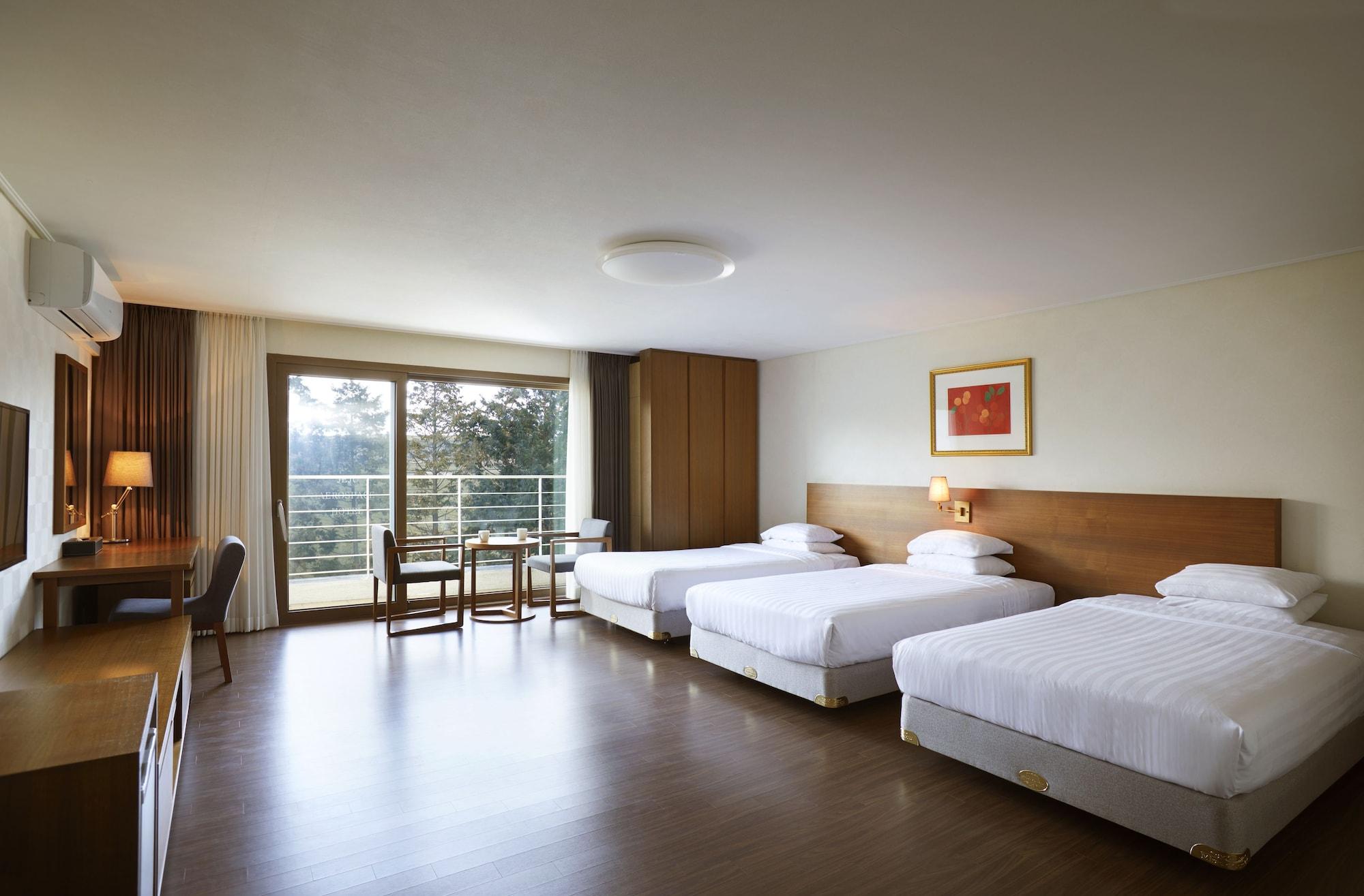 Jeju Aerospace Hotel Seogwipo Exterior foto